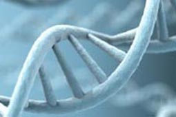 快速到账的云呼轰炸官网